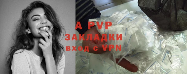 прущие крисы Верея