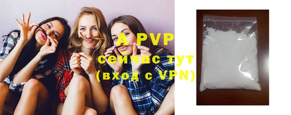 прущие крисы Верея
