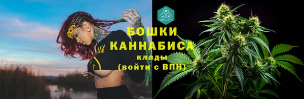 амф Новозыбков