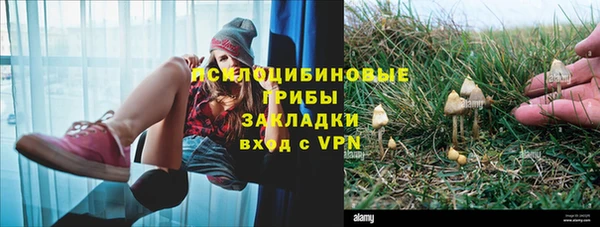 прущие крисы Верея