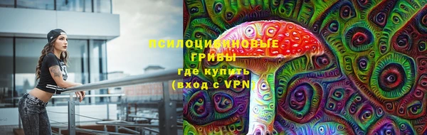 прущие крисы Верея